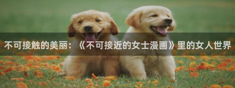 寄宿日记51漫画：不可接触的美丽：《不可接近的女士漫画》里的女人世界